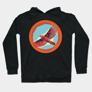 Red shoulder hawk flight Hoodie